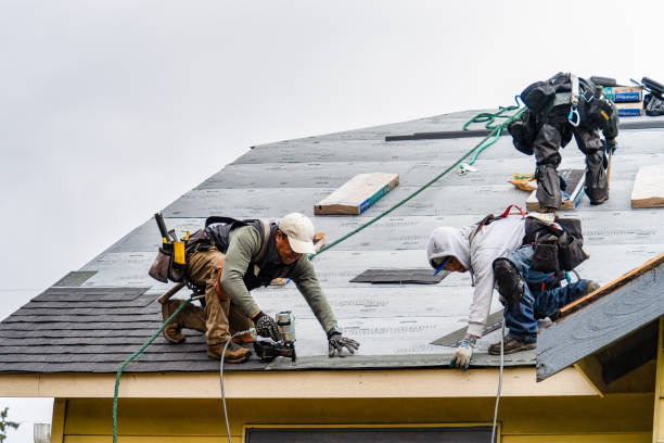 Professional Storm Damage Roof Repair technician working in Macedon, NY
